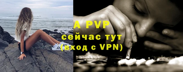 ГАЛЛЮЦИНОГЕННЫЕ ГРИБЫ Наволоки
