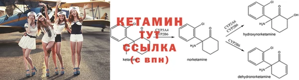ГАЛЛЮЦИНОГЕННЫЕ ГРИБЫ Надым