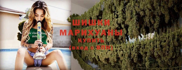 ГАЛЛЮЦИНОГЕННЫЕ ГРИБЫ Наволоки