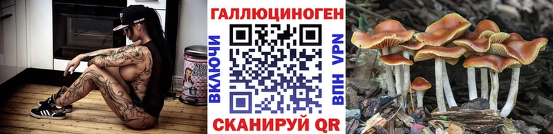 Галлюциногенные грибы Psilocybine cubensis  Аксай 