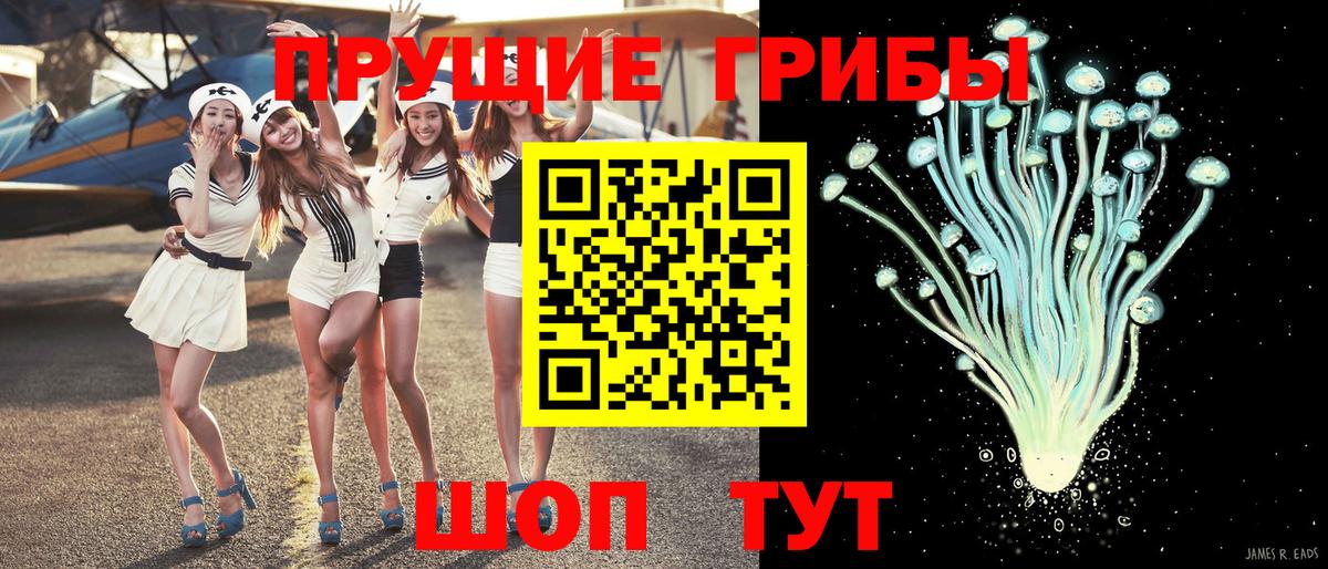 Псилоцибиновые грибы мухоморы  Псилоцибиновые грибы ЛСД  цены   Вход с VPN  Аксай 